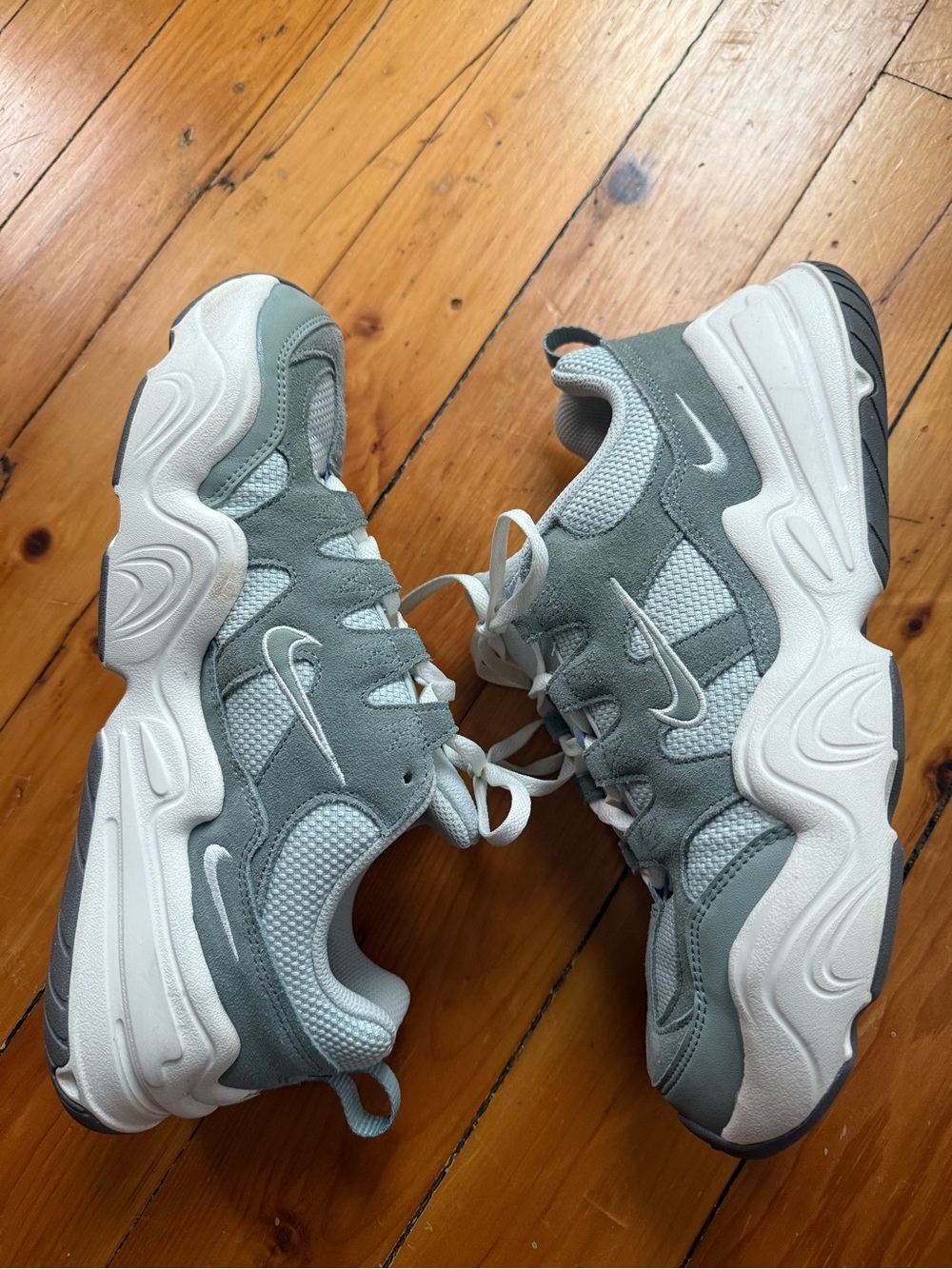 Nike Women's Tech Hera in "Mica Green/Light Silver" (DR9761-001) size 11